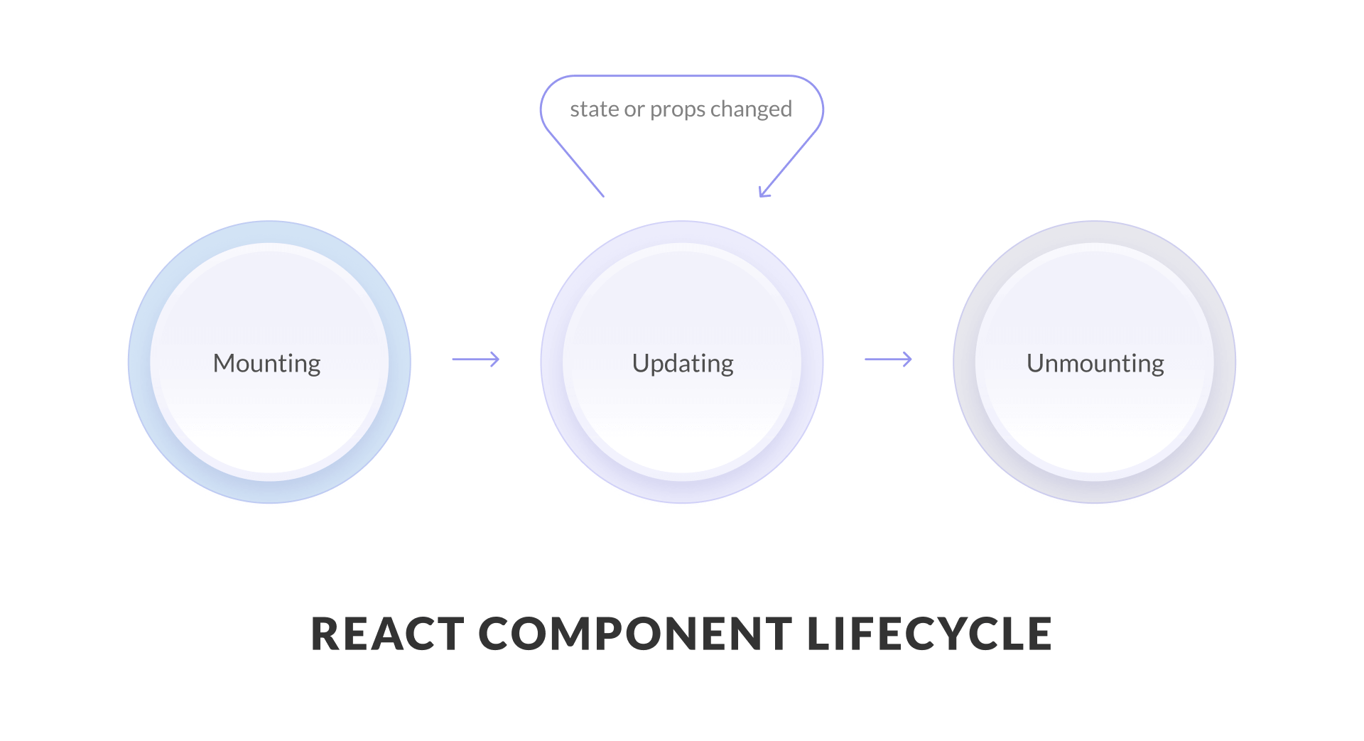 Life Cycle